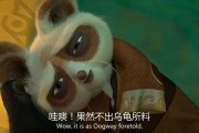 熊猫视频配音合集(熊猫搞笑配音四川方言视频)